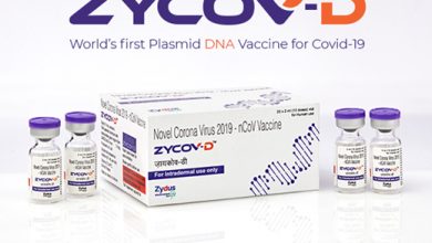 Corona's vaccine 'Zykov-D' in the third phase of trial
