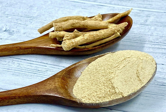 India and UK joint study on the usefulness of Ashwagandha in the treatment of covid